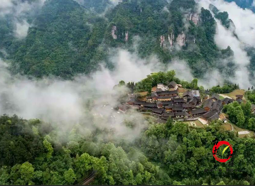 6月22日央视将播出庆祝中国共产党成立100周年·十八洞村丨《唱支山歌给党听》主题快闪