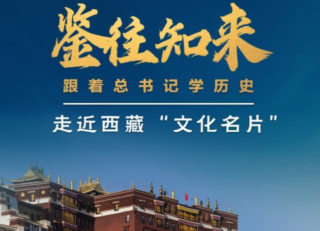 鉴往知来，跟着总书记学历史丨保护西藏优秀传统文化，总书记为何如此关注？