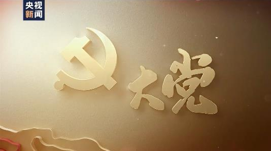 大党丨中流砥柱