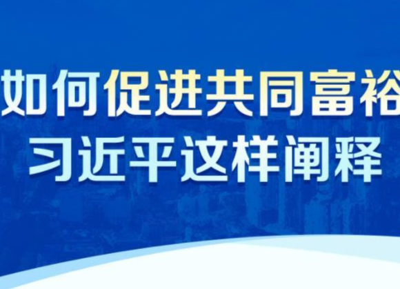 如何促进共同富裕，习近平这样阐释