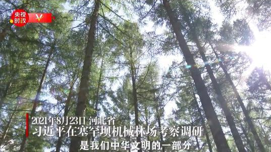 独家视频丨习近平：发扬塞罕坝精神 在新征程上再建功立业