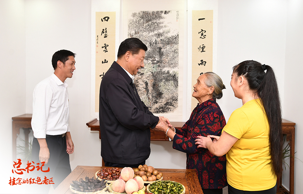 总书记挂念的红色老区｜大别山区的“网红打卡地”