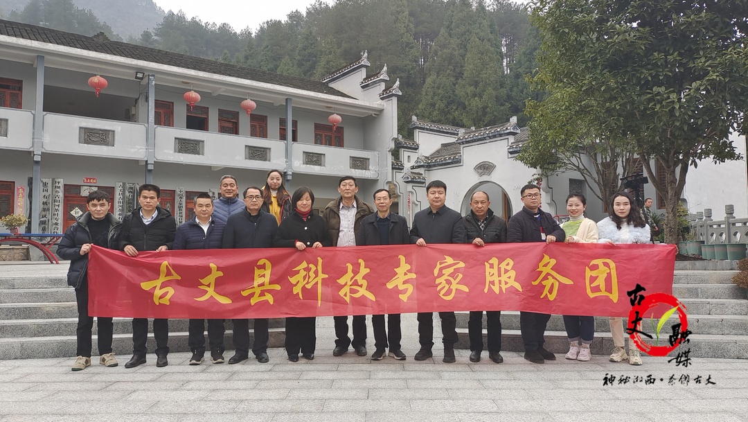 湖南省茶叶专家走进古丈县茶企开展科技下乡活动