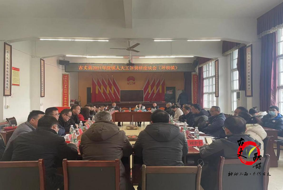 古丈县人大常委会主任曾传文深入坪坝镇调研人大工作