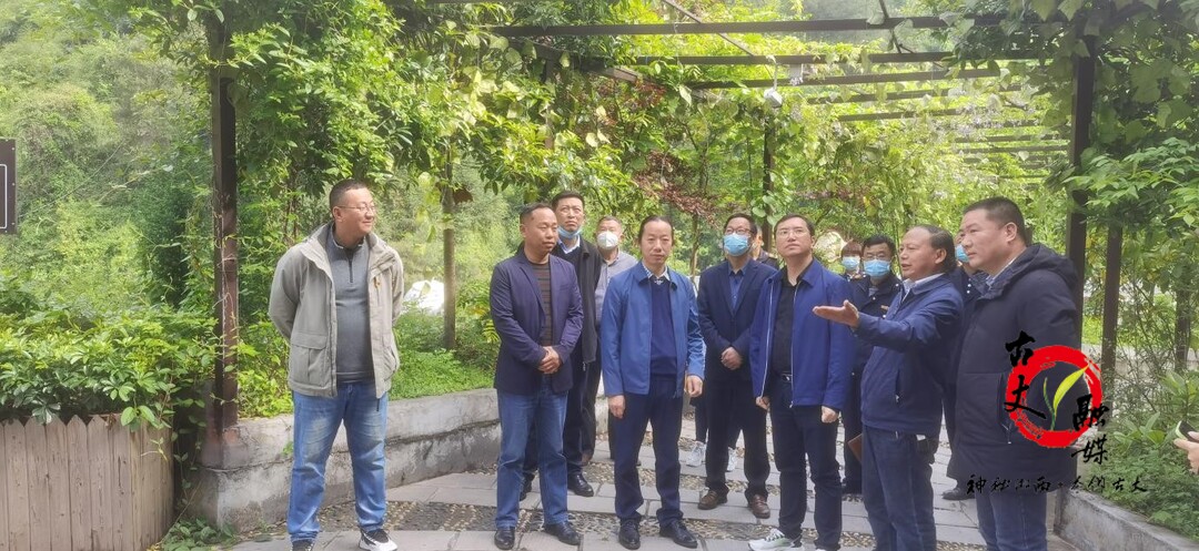 陈瑞到默戎镇调研指导乡村旅游工作