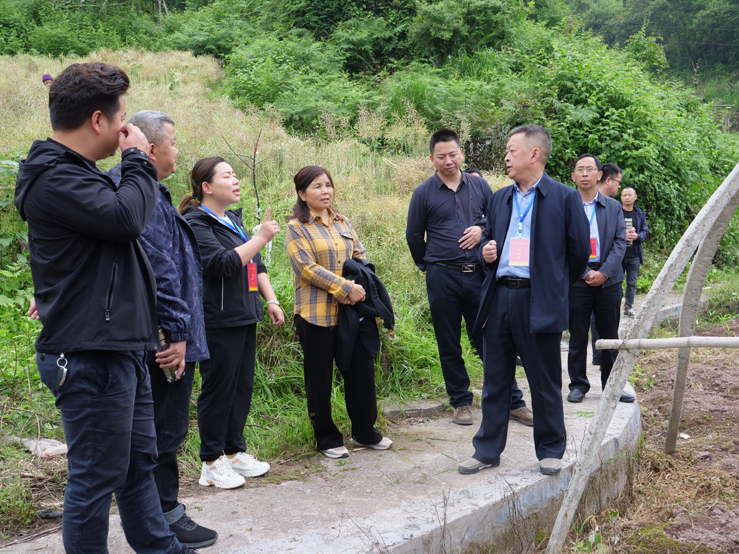 曾传文一行视察调研高峰镇乡村振兴工作