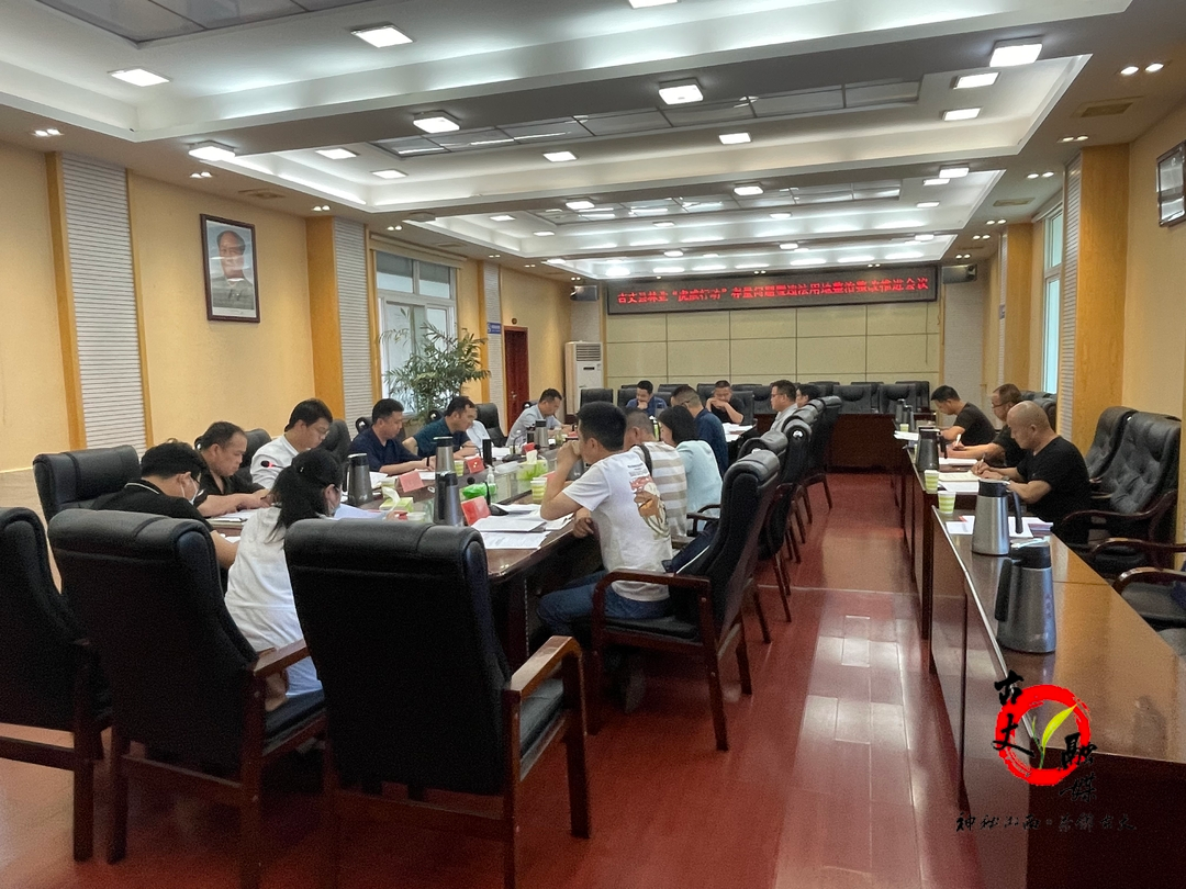 古丈：动真格，亮真剑，纵深推进自然资源和林业领域问题整改工作