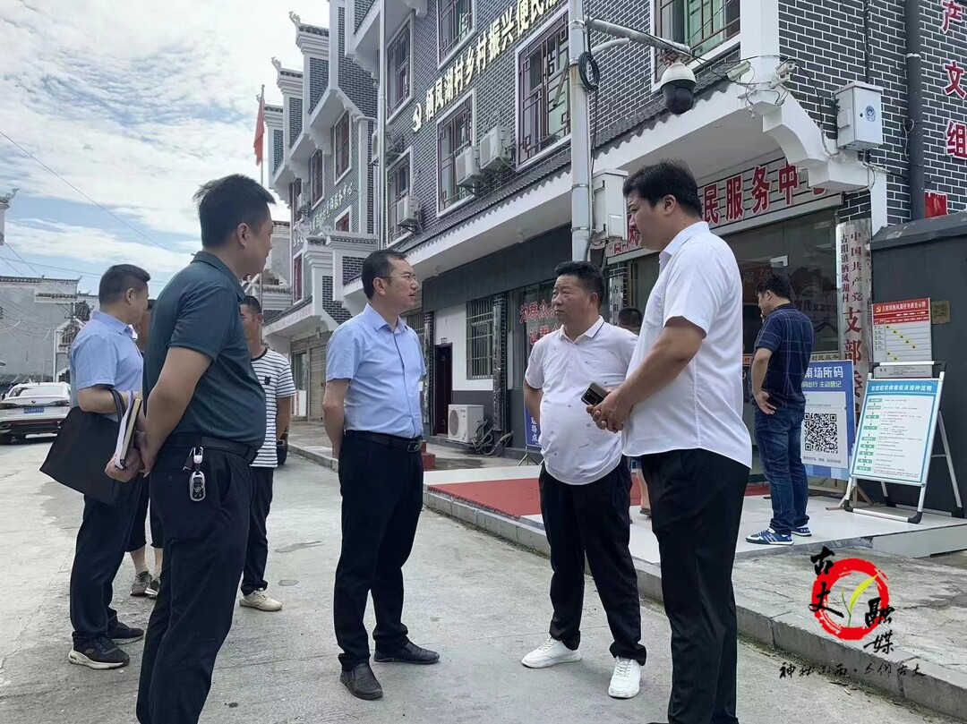 陈瑞到古阳镇调研指导乡村振兴工作