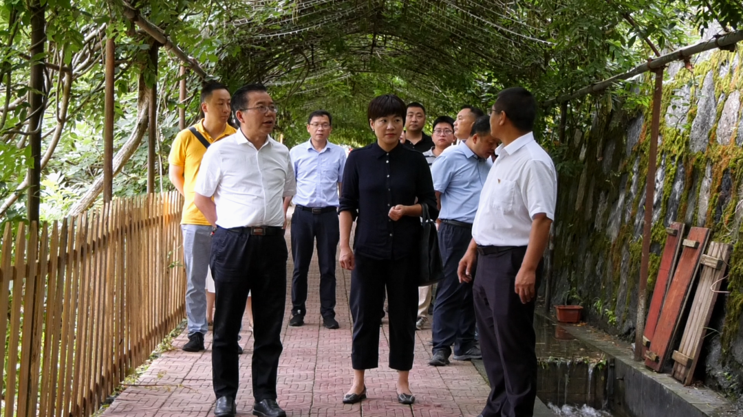 邓晓东深入开展百名干部联百企“送政策、解难题、优服务“行动及检查指导乡村振兴工作