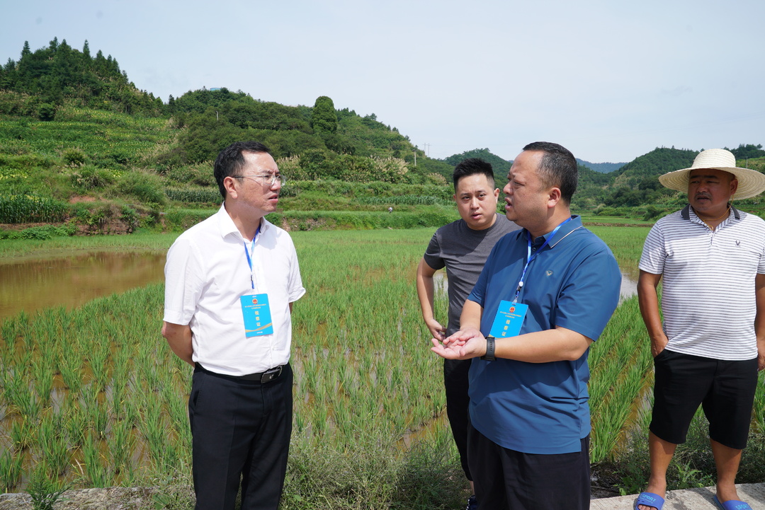 陈瑞参加“深入基层察民情、服务群众办实事、聚力喜迎二十大”主题活动