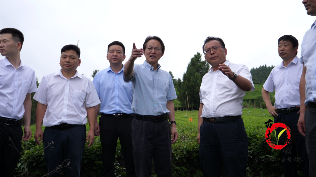 王瑰曙带队一行赴古丈县铁马洲村调研指导乡村振兴工作并走访慰问
