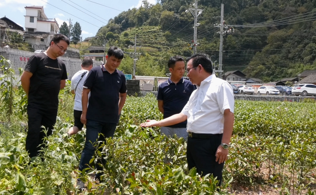 邓晓东赴乡镇实地查看旱情并指导抗旱工作