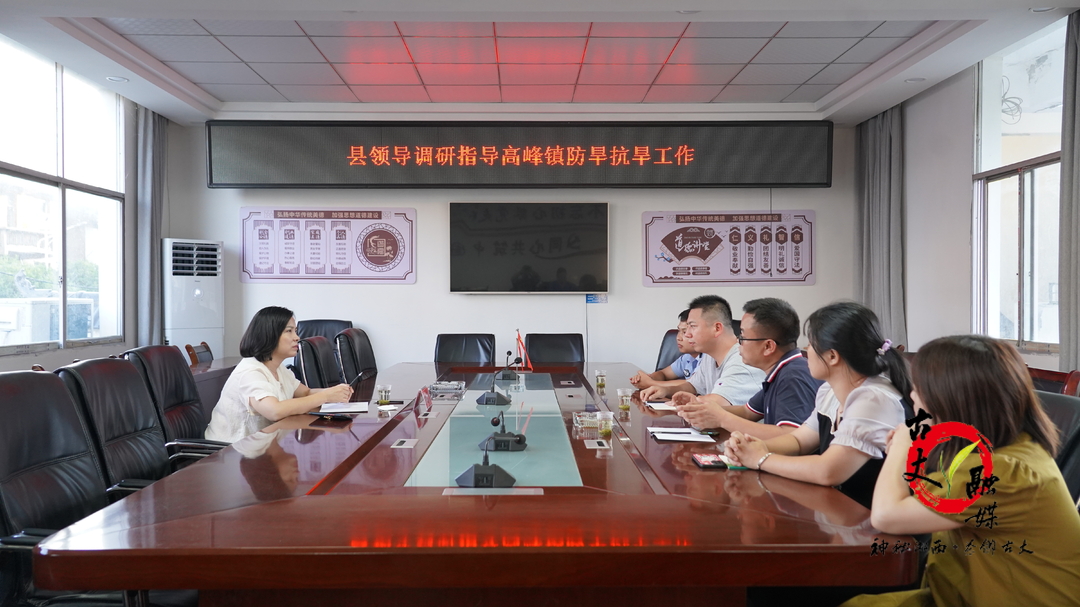 粟丽波深入高峰镇调研指导防旱抗旱及森林防火工作