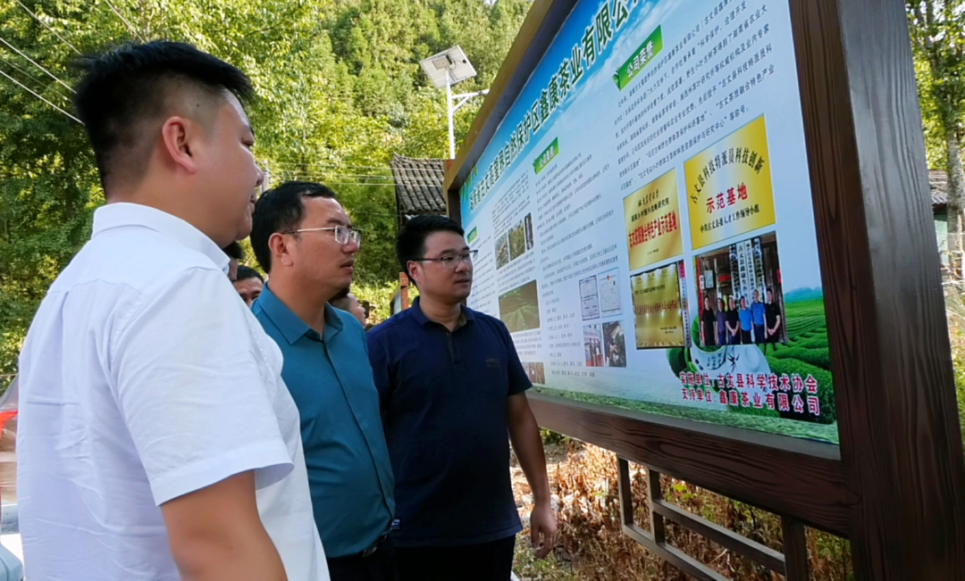 湘西古丈:陈瑞赴高峰镇督导森林防火,防旱抗旱并调研风力发电,项目