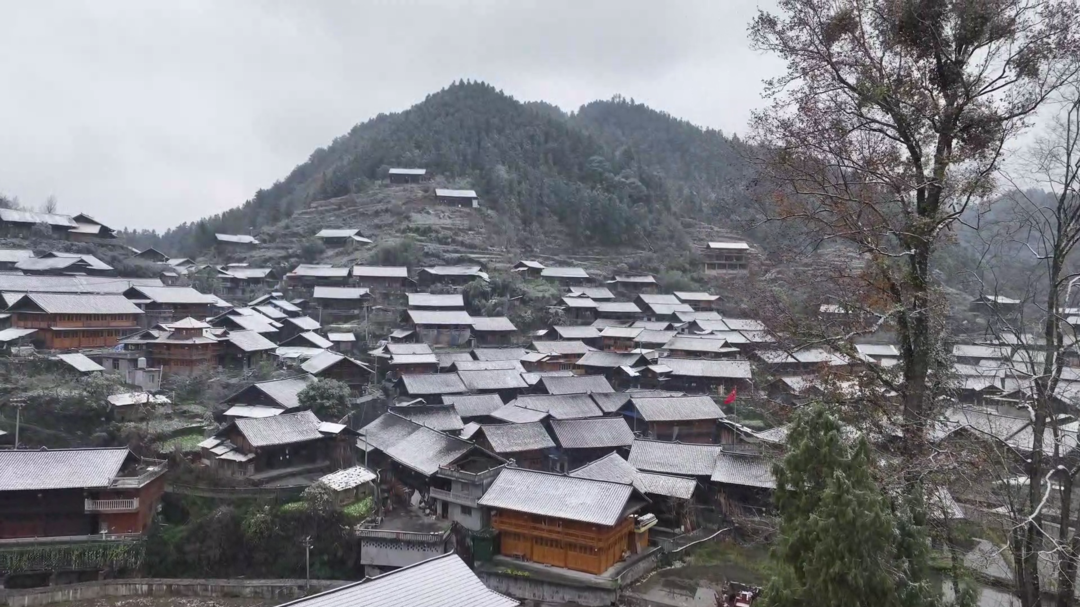 古丈县翁草村：白叶一号千亩茶园基地雪景宛如仙境 如诗如画