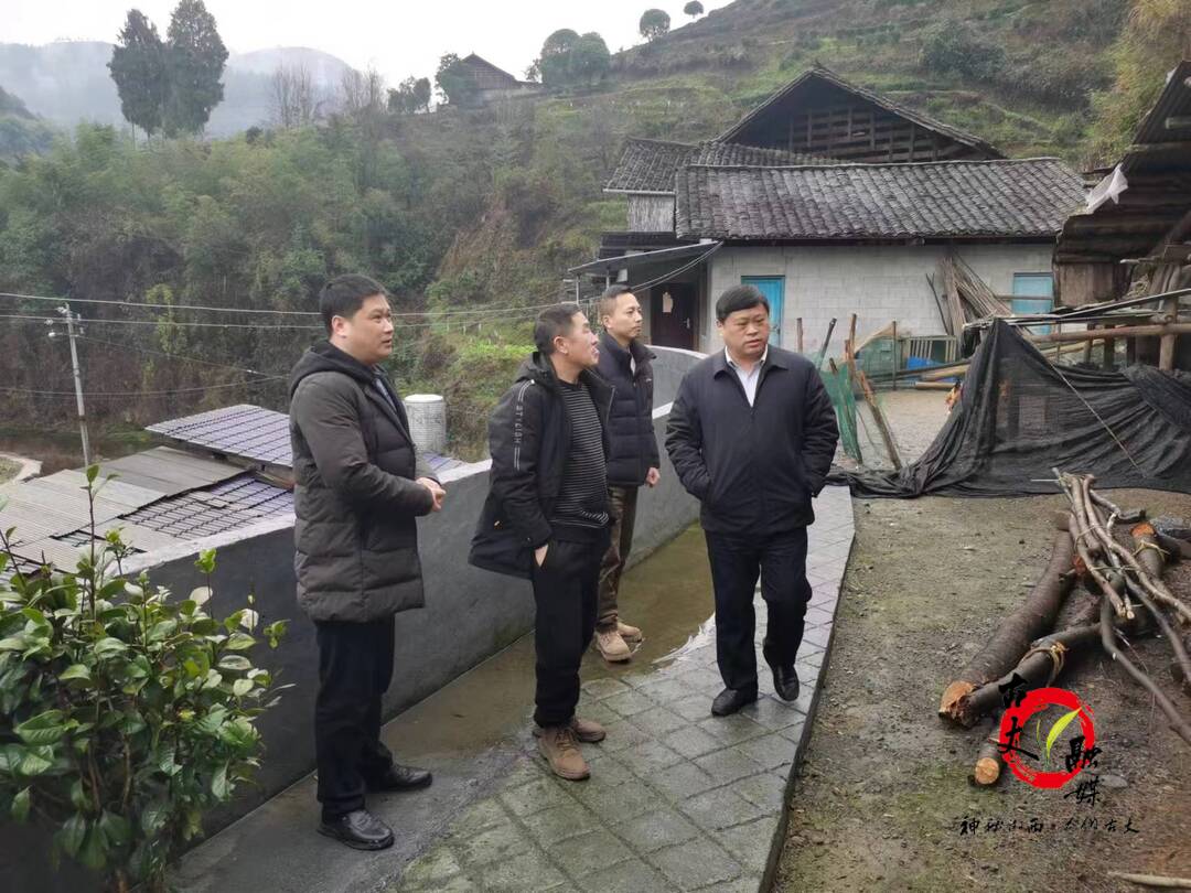 麻学清深入溪流墨村调研乡村振兴开展情况