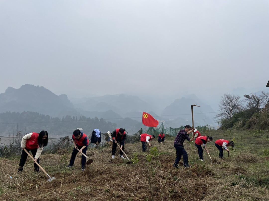 古丈县税务局：廉洁清风拂乡村 青年助力春耕忙