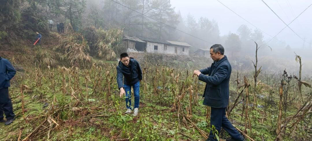 湘西古丈坪坝镇：开展特优杂粮种植技术培训会