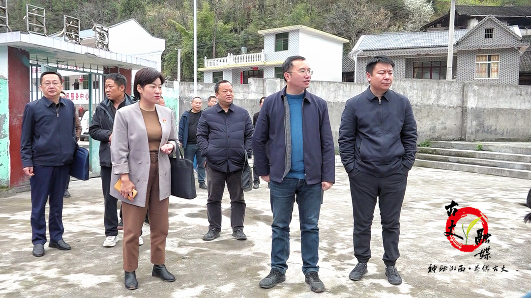 陈瑞赴坪坝镇调研指导乡村振兴、土地增减挂钩等工作