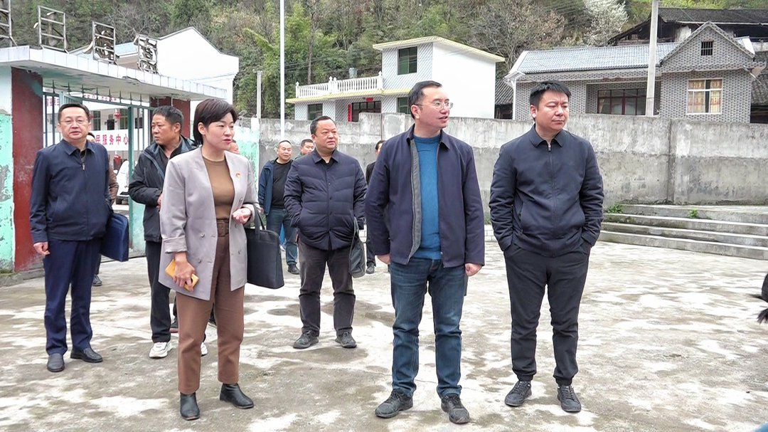 湘西古丈：陈瑞赴坪坝镇调研指导乡村振兴、土地增减挂钩等工作