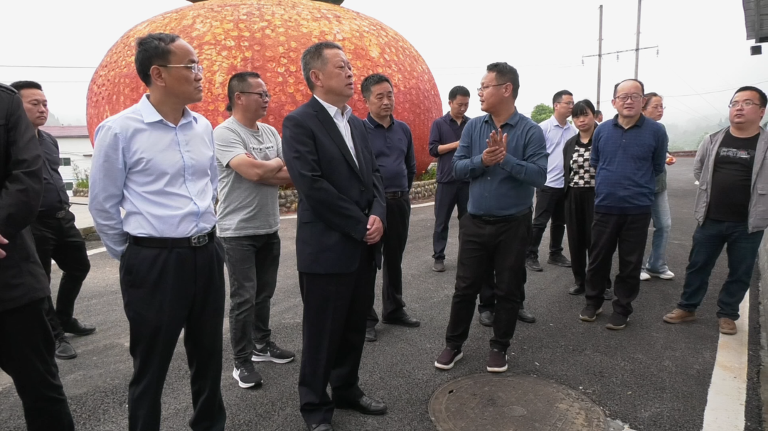 古丈县人大调研组深入各镇调研镇人大工作暨民生实事落实情况