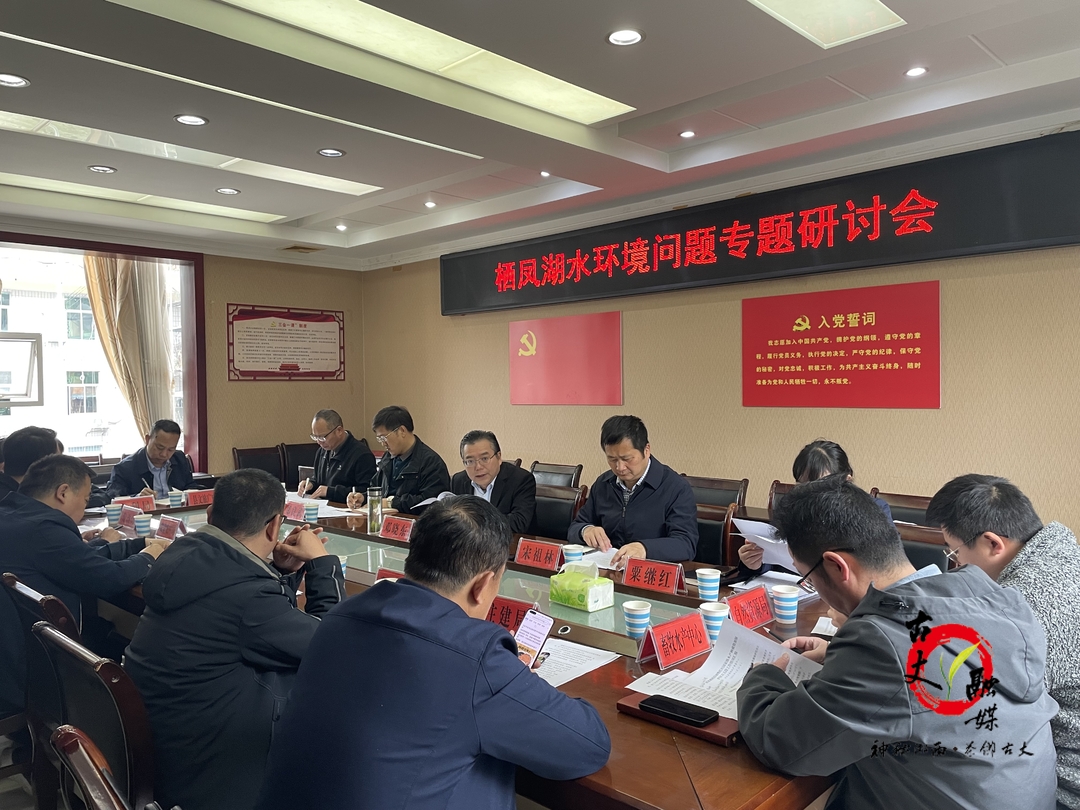 古丈：坚持问题导向 聚焦栖凤湖水治理