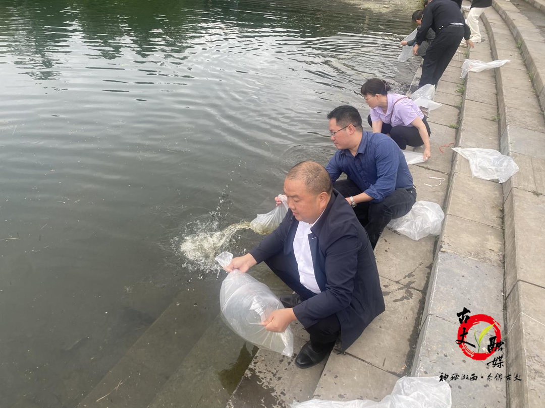 古丈：200余万尾增殖鱼苗放流栖凤湖水域