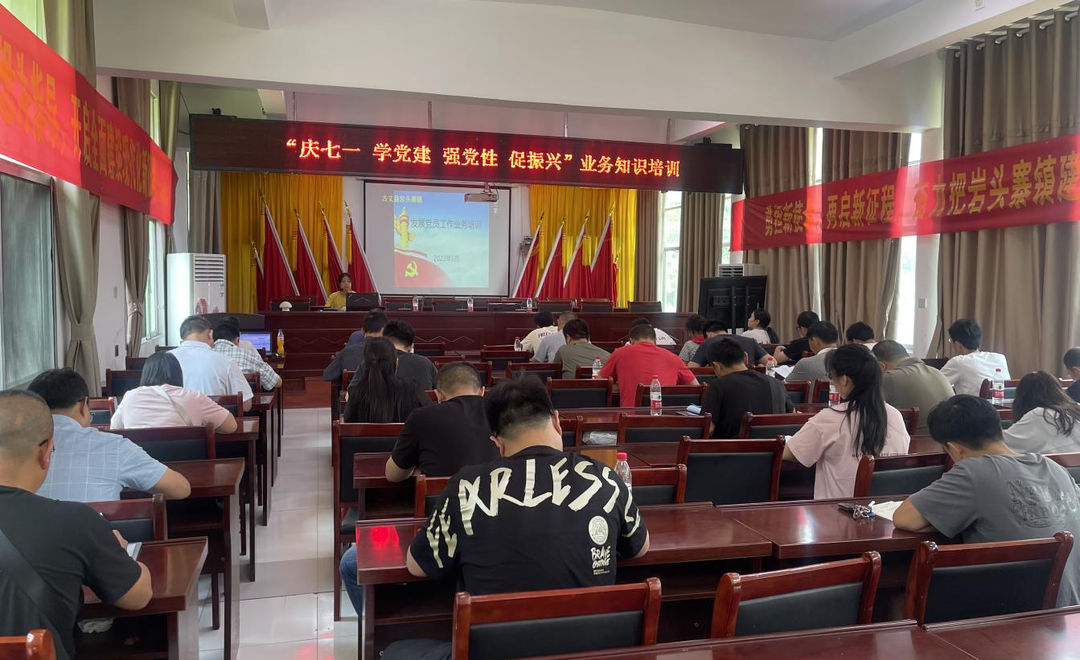 古丈县岩头寨镇：打造党建新模式 营造发展大环境