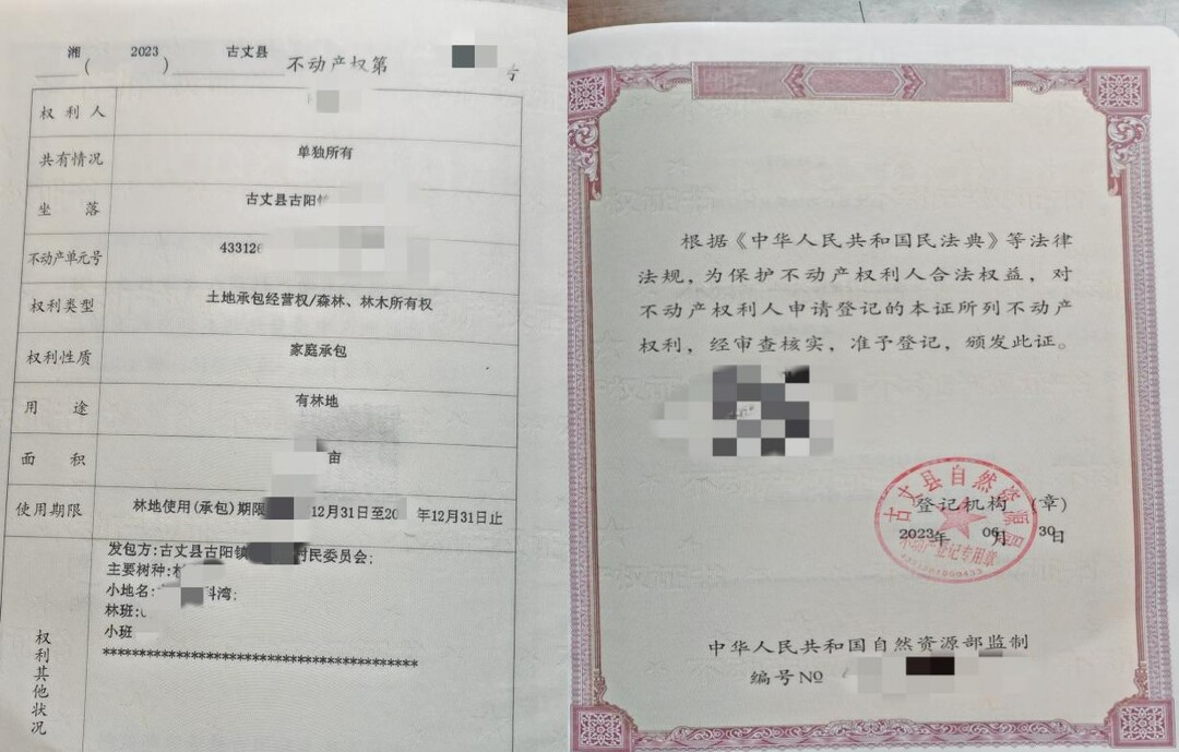 湘西古丈：林权类不动产权证书“首证”颁发