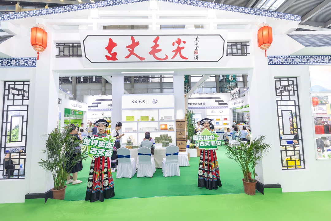 湾区又闻古丈茶，古丈茶叶组团亮相深圳春季茶博会