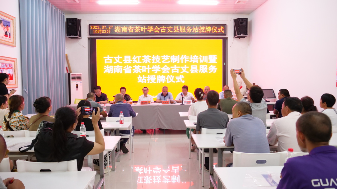 湘西古丈：举办古丈红茶技艺制作培训  推动茶叶产业高质量发展