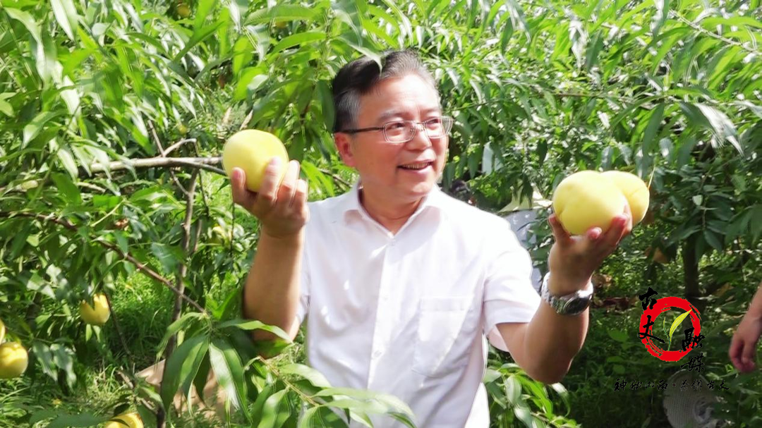县委书记为农产品“代言” 助力果农增收
