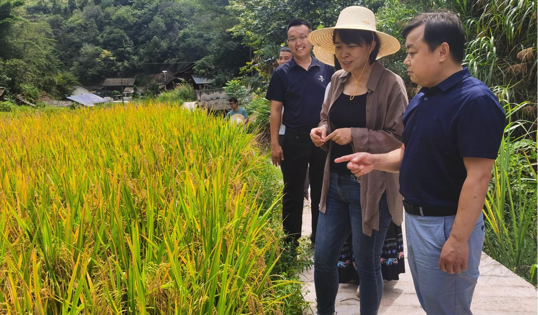 湘西古丈：彭波一行到坪坝镇窝瓢村调研指导工作