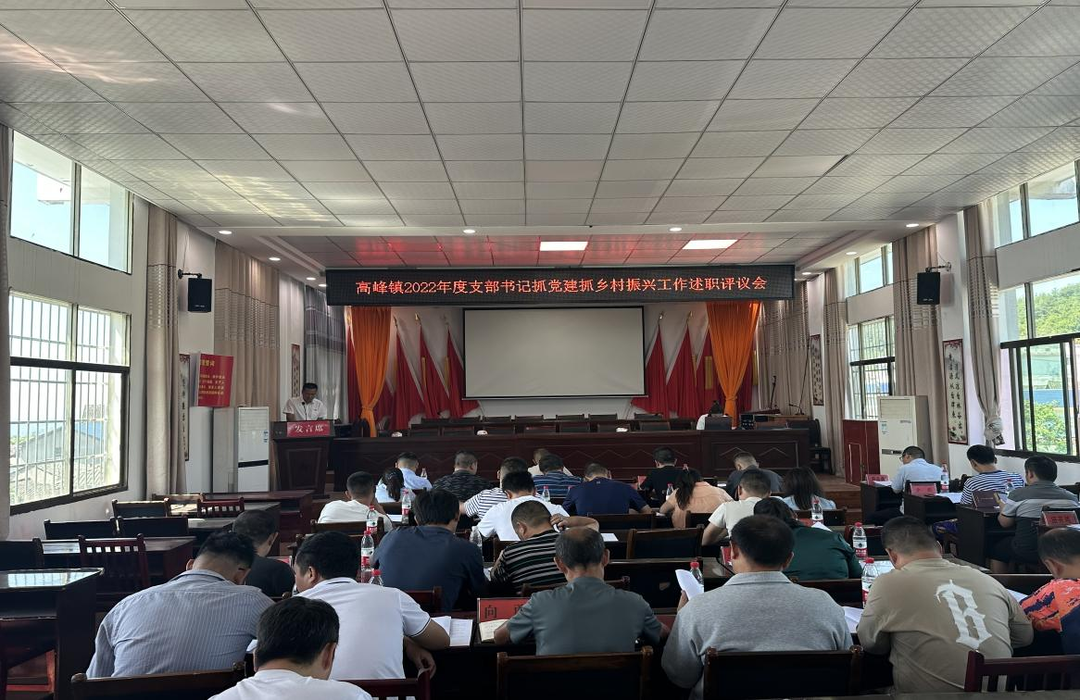 古丈县高峰镇举办村支部书记（第一书记）抓党建促乡村振兴工作培训会