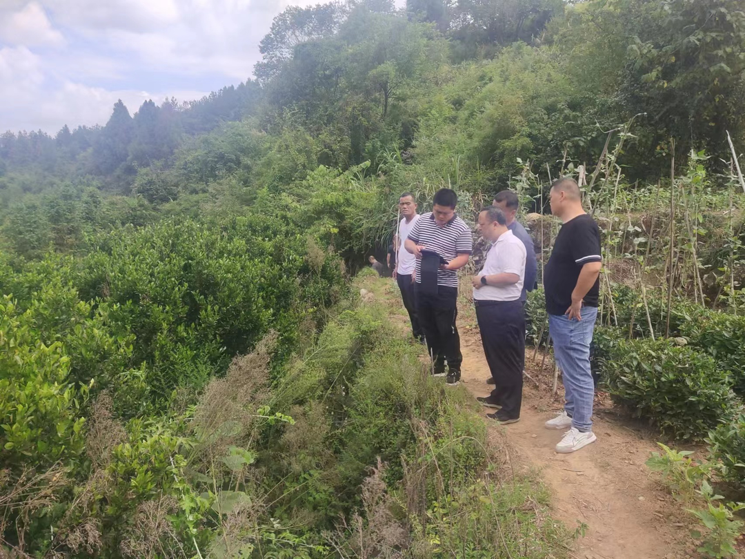 【优化营商环境】古丈县自然资源局：落实用地报批保障要素 支持一二三产业融合发展