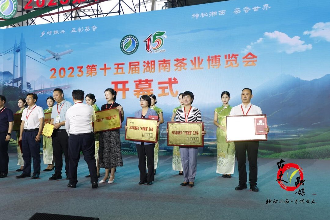 古丈茶叶走进第十五届湖南茶博会