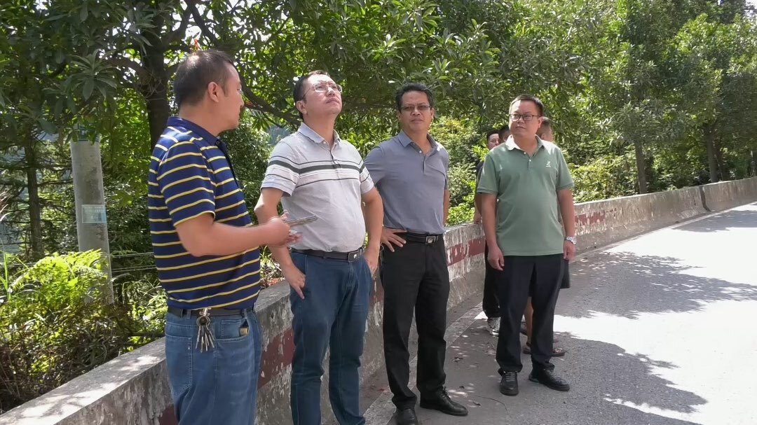 陈瑞调研道路交通安全和宏泰尾矿库治理工作