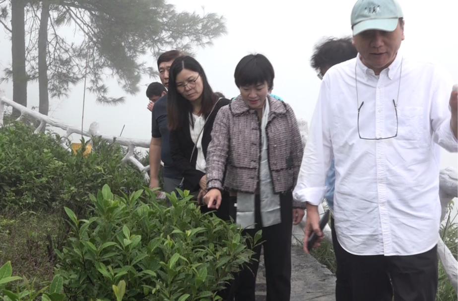 上海茶叶协会到古丈考察并签订战略合作框架协议