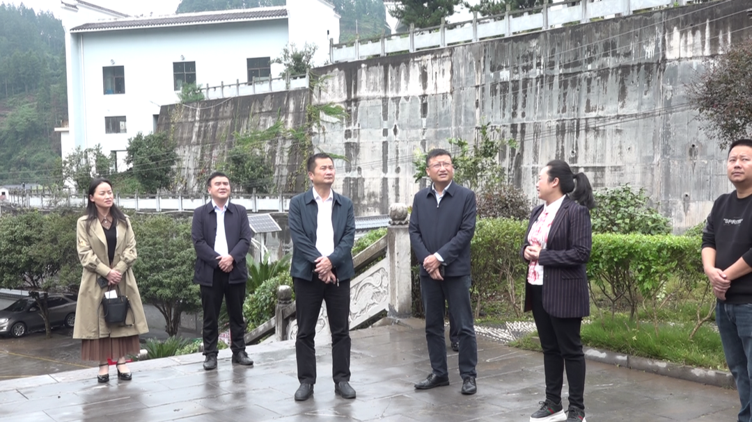 古丈县政协开展十届三次会议2号重点提案办理协商工作