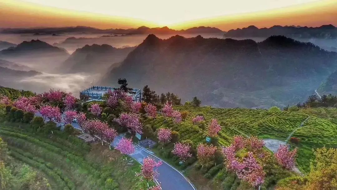 古丈县默戎镇中寨村,龙鼻嘴村,牛角山村,翁草村的扩能提质兴企业行动