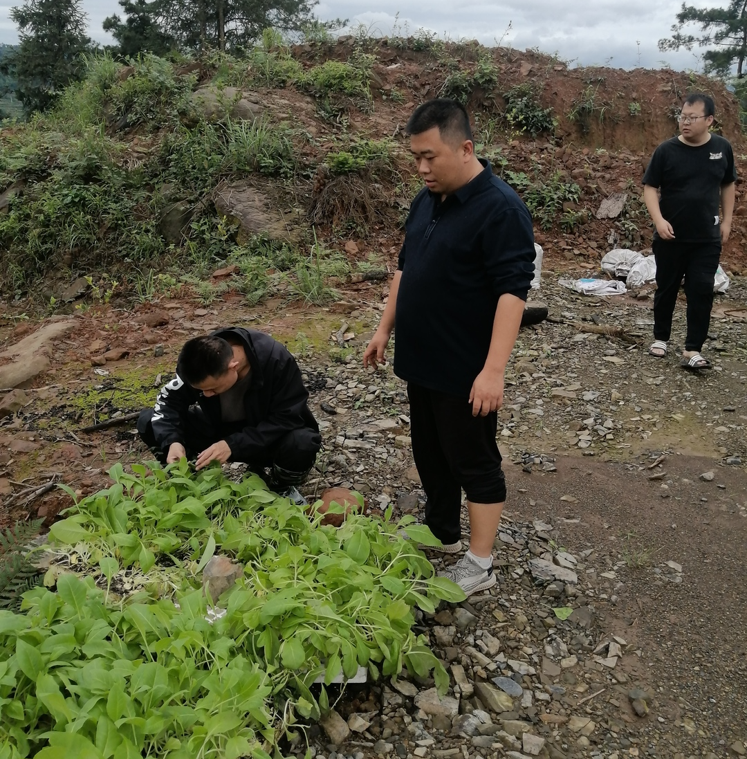 周圣文：“兵支书”的振兴乡村新征程