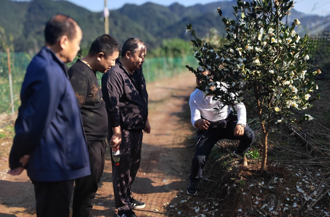 古丈县林业局：多措并举优化营商环境，用实干彰显林业人担当作为