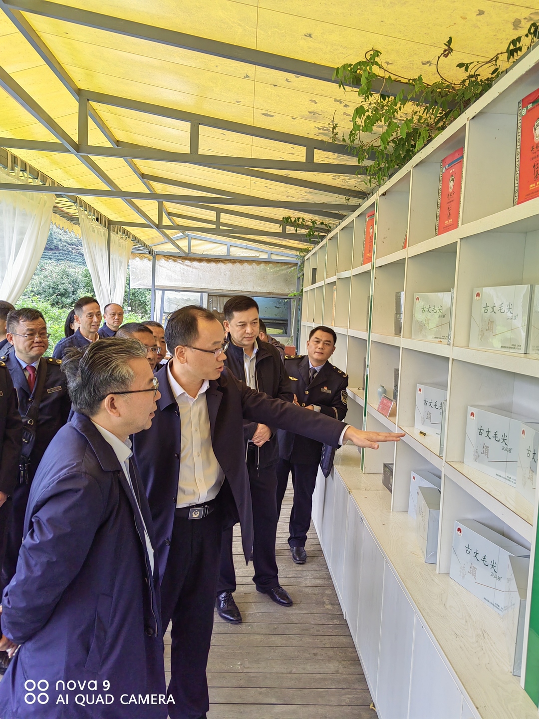 湘西古丈毛尖省级地理标志产品保护示范区完成中期评估工作