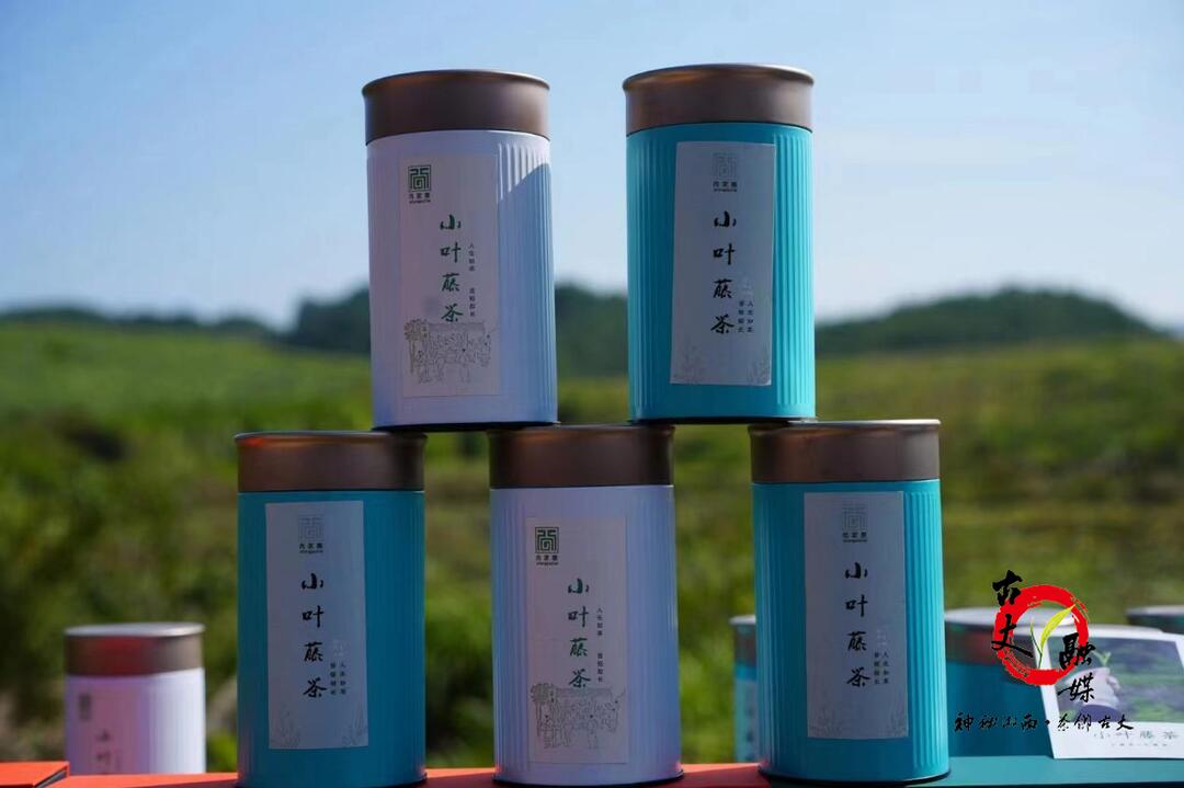小藤茶，撬动大产业  ——脱贫不忘党恩，家富不忘报国