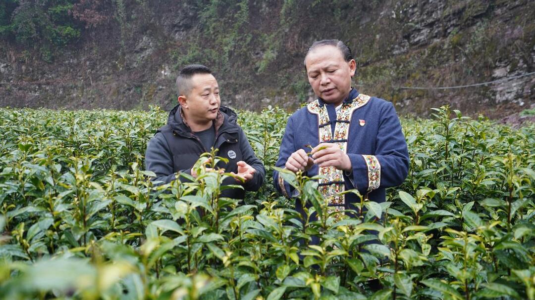 湘西古丈：龙献文获评湖南省“乡村振兴担当作为好支书”