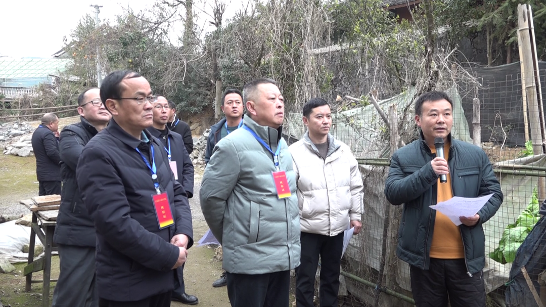 湘西古丈：县人大代表视察调研乡村振兴重点工作
