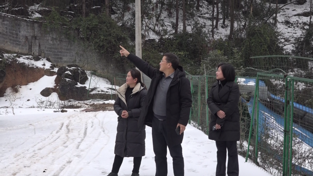 湘西古丈：突遇寒潮 农业设施遭重创
