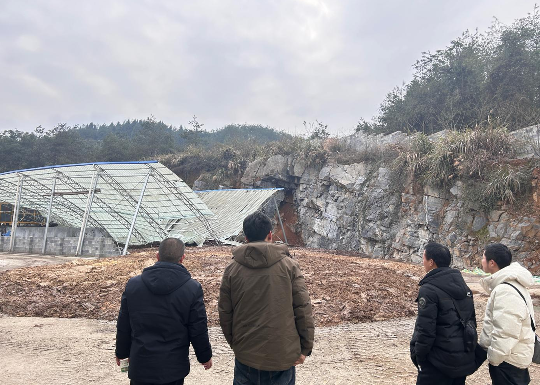 湘西古丈：年后火速开工 畜牧全力以“复”