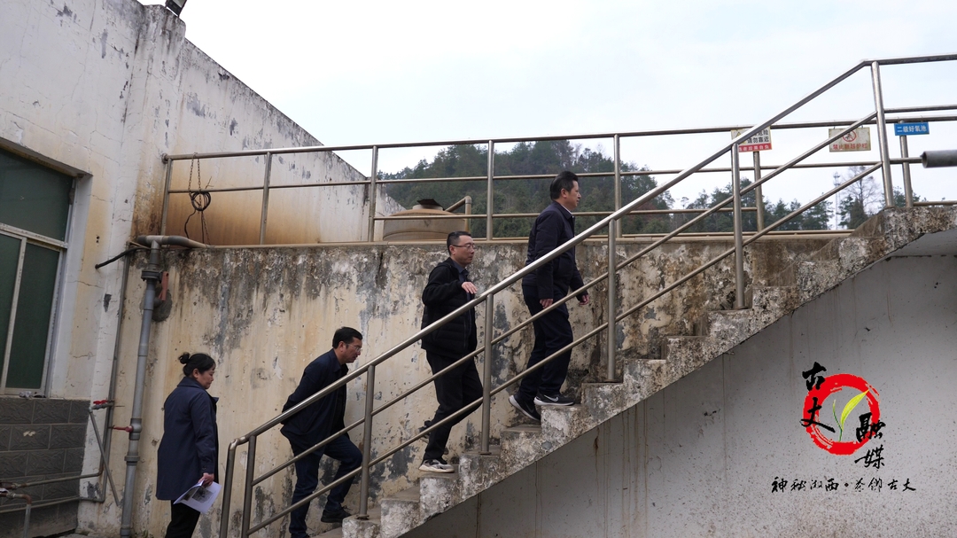 县委书记滕朝辉，县委副书记、县长陈瑞现场督办生态环境问题