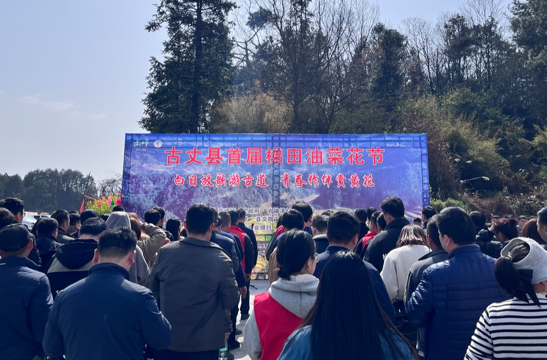 白日放歌游古道 青春作伴赏黄花：古丈县首届梯田油菜花节活动举行